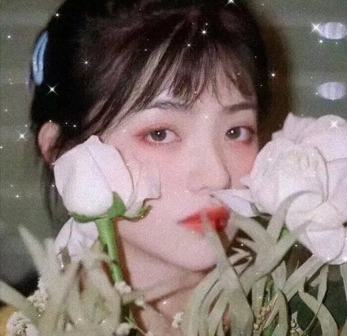 珍贵的女人